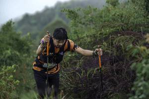 BIB: 
                            <button type="button" onclick="openModal(24760109)" class="btn btn-primary btn-sm float-right btn-popup" data-toggle="modal" data-target=".modal-high-quality">
                        <i class="fas fa-shopping-cart"></i> Add to Cart
                    </button>
                                            <button type="button" onclick="isThisMe(24760109, true)" class="btn btn-success btn-sm float-right btn-popup btn-isme hidden" data-toggle="tooltip" data-placement="bottom" title="นี่คือรูปของคุณใช่ไหม คลิกที่นี่เพื่อเอาเข้าอัลบั้ม">
                        <i class="fas fa-plus"></i> Add to album
                    </button>
                    <button type="button" onclick="isThisMe(24760109, false)" class="btn btn-warning btn-sm float-right btn-popup btn-isnotme hidden">
                        <i class="fas fa-ban"></i> Remove from album
                    </button>